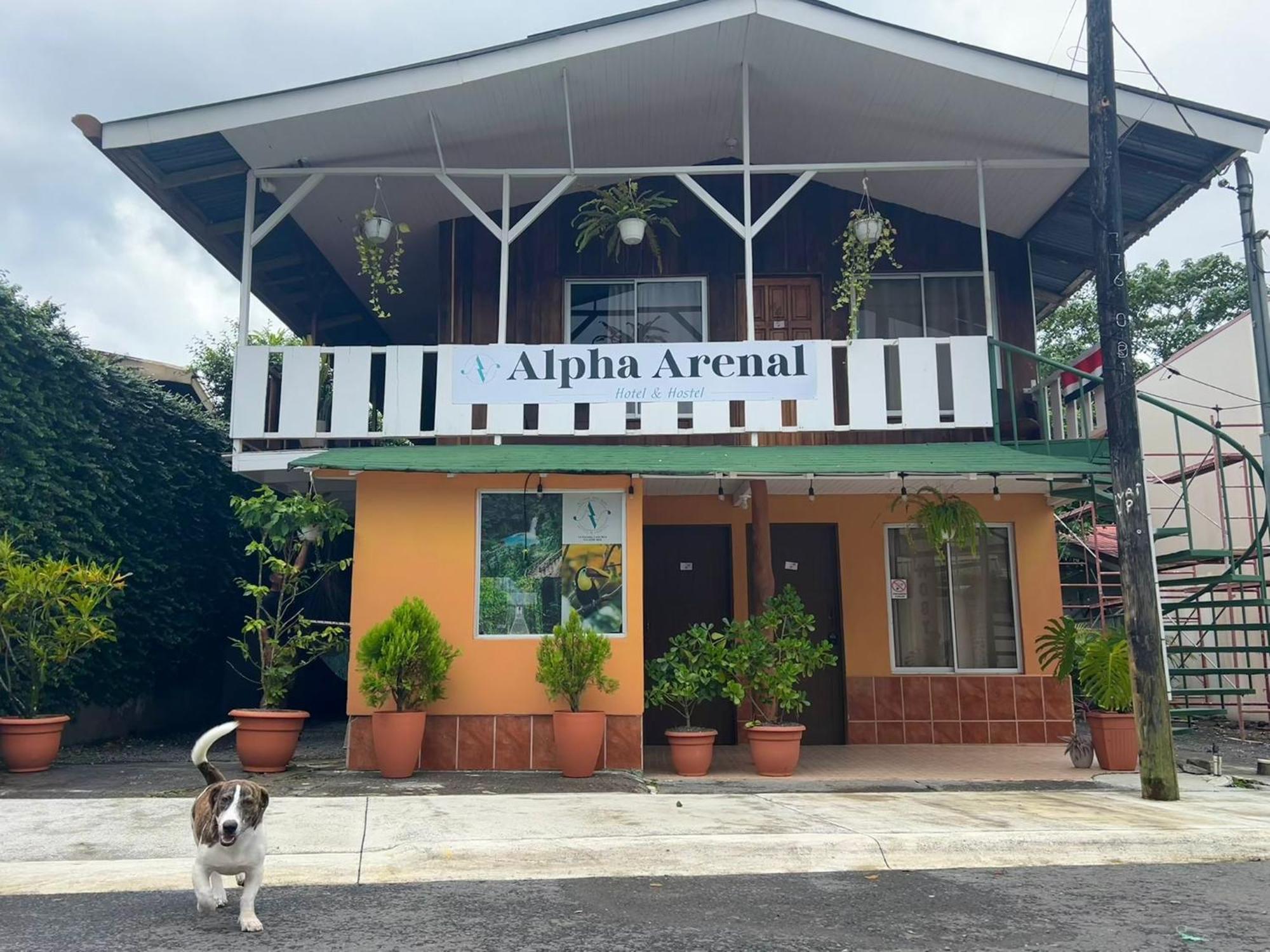 Alpha Arenal Hostel La Fortuna Екстериор снимка